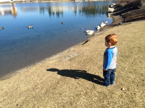 Cooper, age 2, enjoying the local duck pond